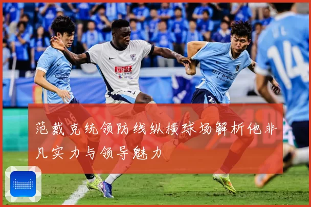 范戴克统领防线纵横球场解析他非凡实力与领导魅力